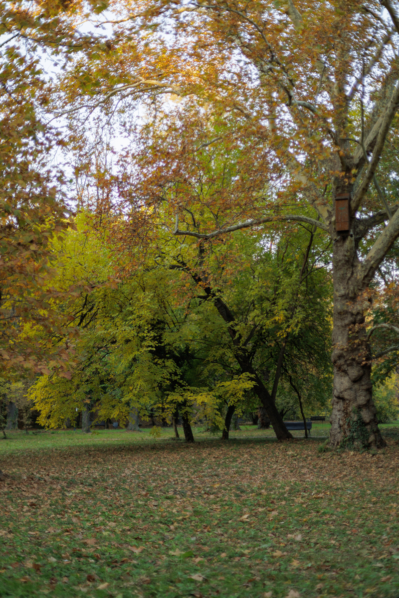 Grădina Botanică, locul perfect pentru cele mai bune poze pentru rețelele de socializare
