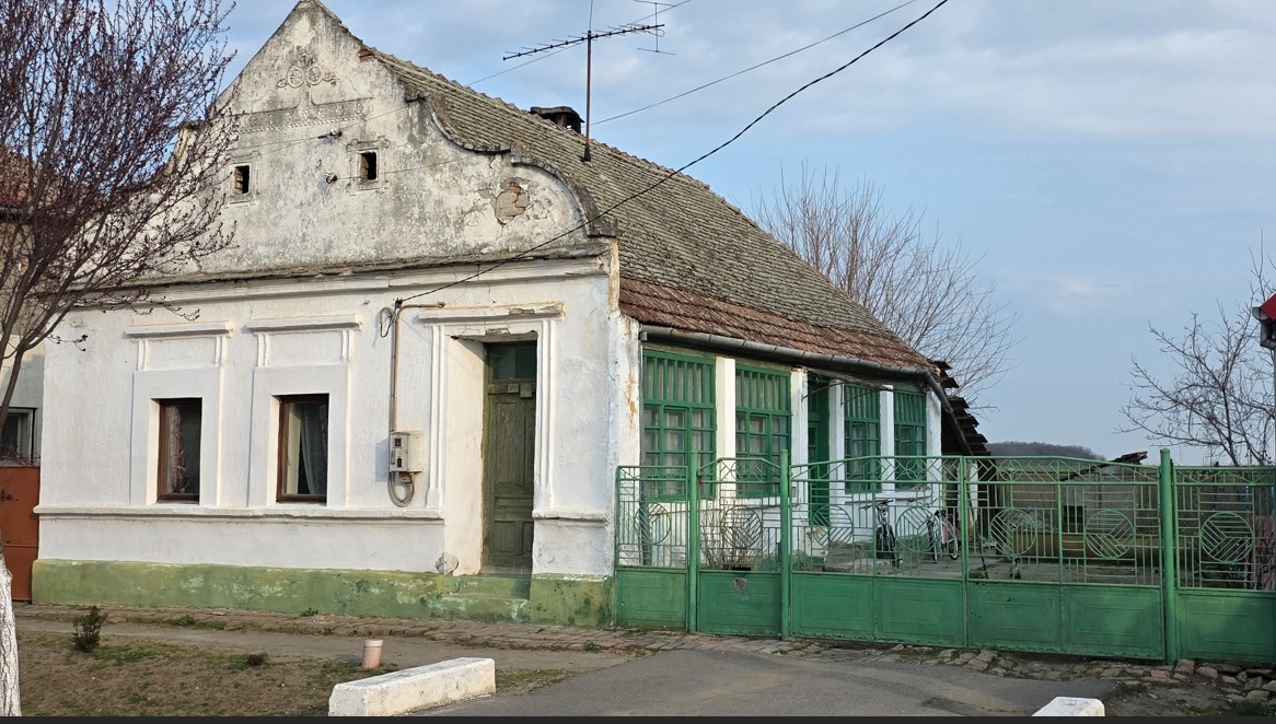 Bătrâna misterioasă care deține în acte „Peleșul” lui Gradu Cârpaci din Timișoara. Rudele spun că abia „are cât să se descurce de pe o zi pe alta”