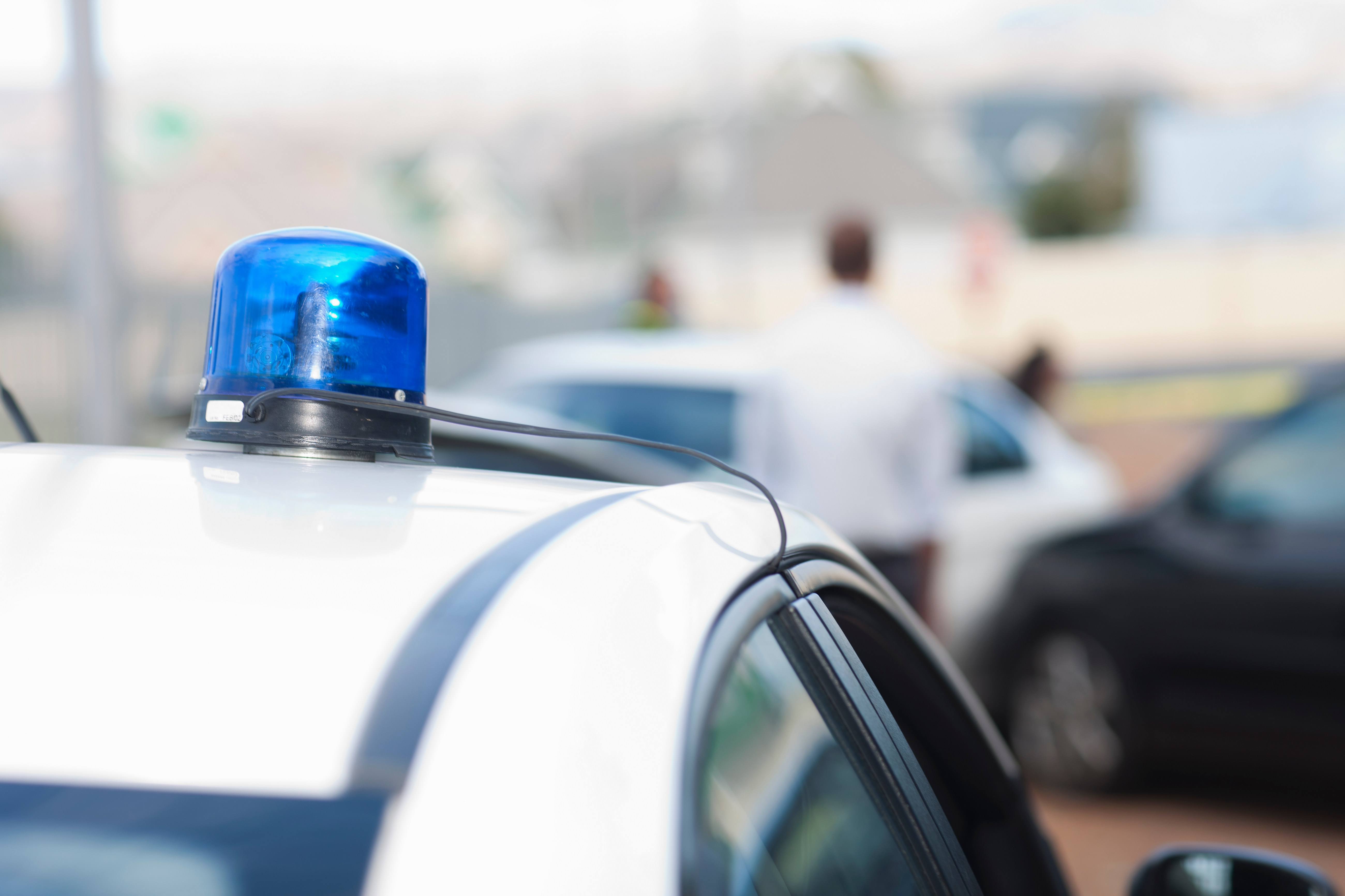 Cazul unei crime, rezolvat după 45 de ani. Principalul suspect este chiar bărbatul care a raportat autorităților descoperirea cadavrului 