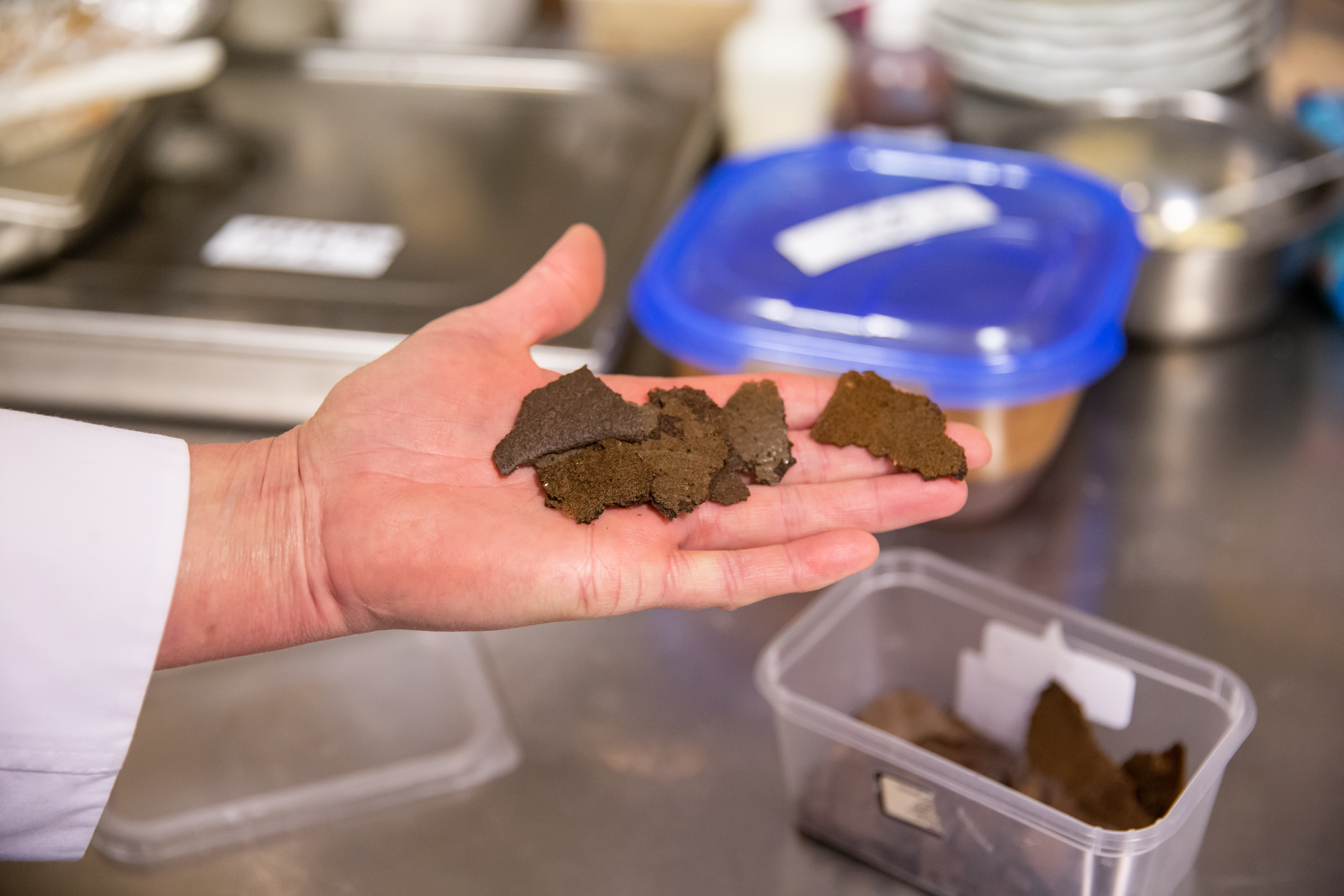 Pariul Mădălinei: primul restaurant din România unde nimic nu se aruncă, totul se transformă. Ce gust au chipsurile din zaț de cafea și piureul din coji de mere?