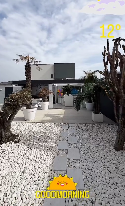 Imagini din curtea casei lui Dorian Popa, decorată cu pietre albe și palmieri. Nu are nici gazon, nici flori: „Am dat drumul la piscinică”