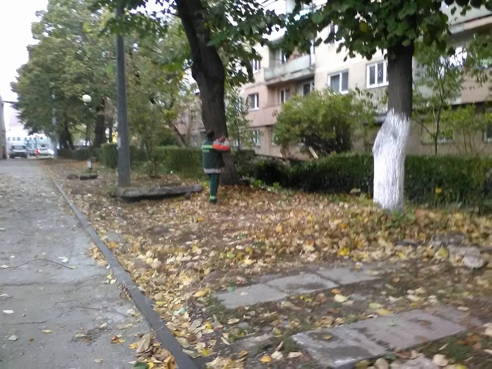 Acoperișurile mai multor blocuri din Satu Mare, smulse de vântul puternic. Vijelia a distrus și acoperișul unei biserici / FOTO