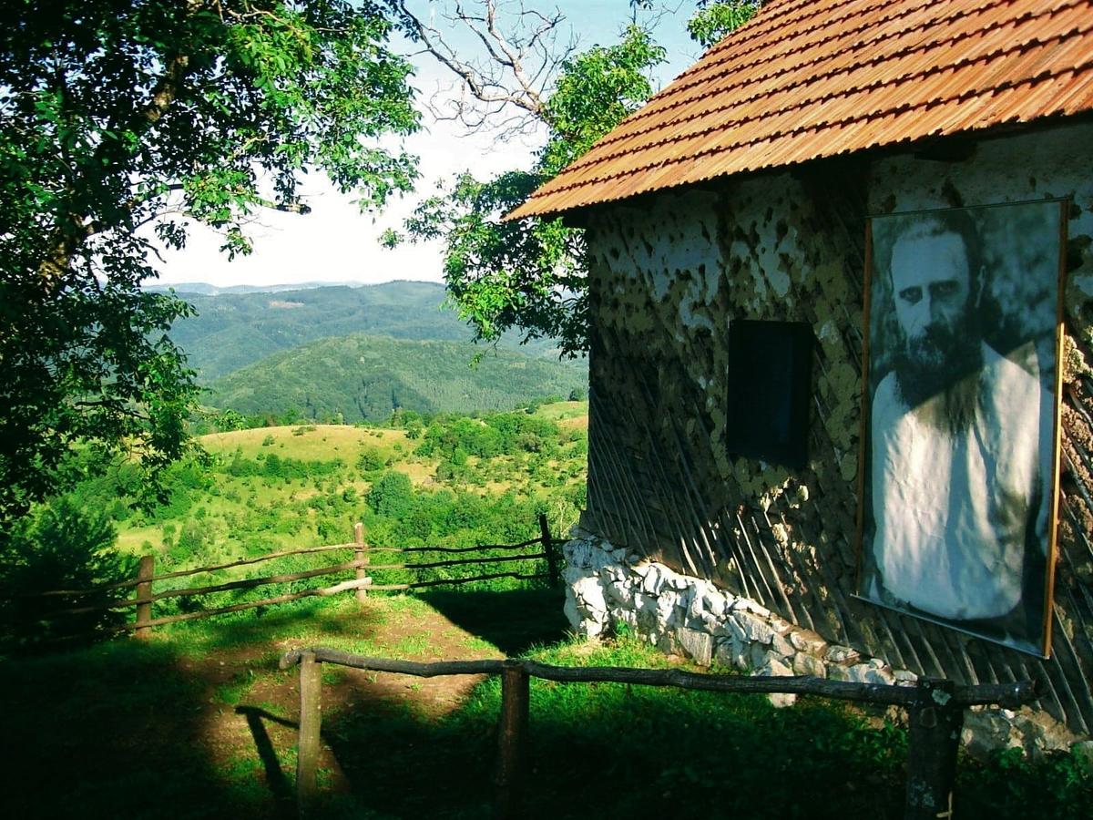 Casa părintească a Părintelui Arsenie Boca, de vânzare. Costă 3 milioane de euro și se vinde alături de 8 hectare de teren | FOTO