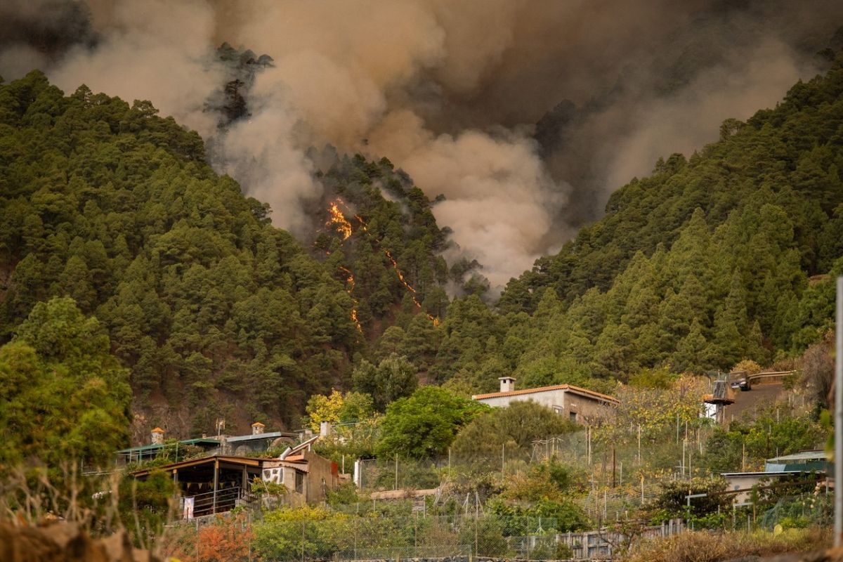 Incendiu de vegetație pe insula Tenerife. Cinci sate au fost evacuate. Focul „este puternic și se află într-o zonă complicată”