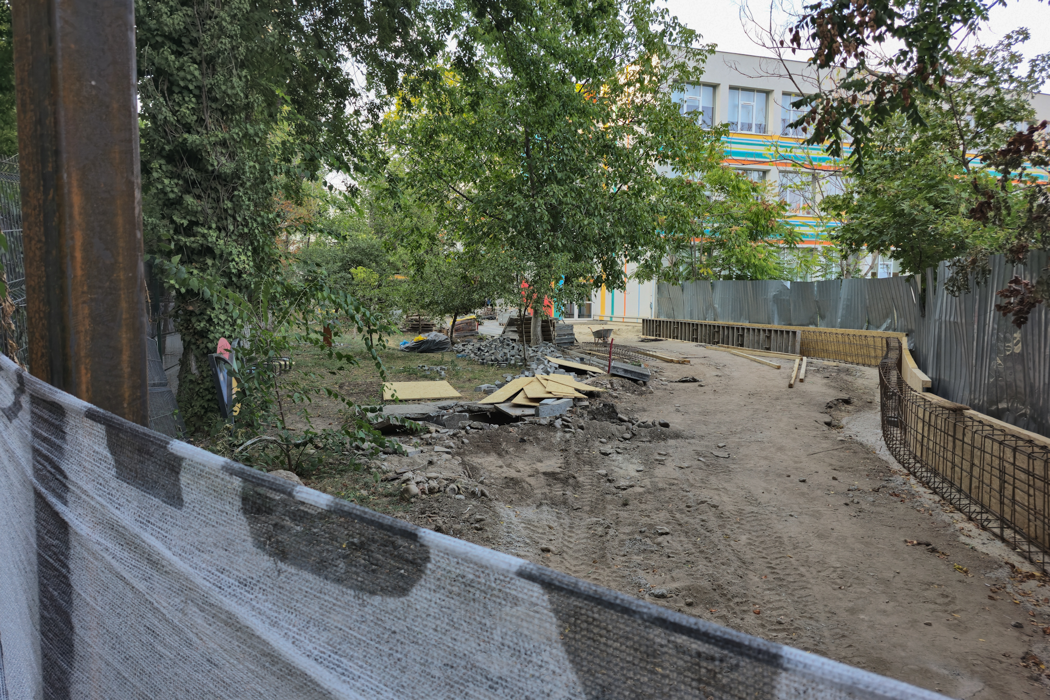 Au băgat excavatorul ca să facă șanțuri pentru gardul unei școli din București și au rupt rădăcinile a zeci de copaci