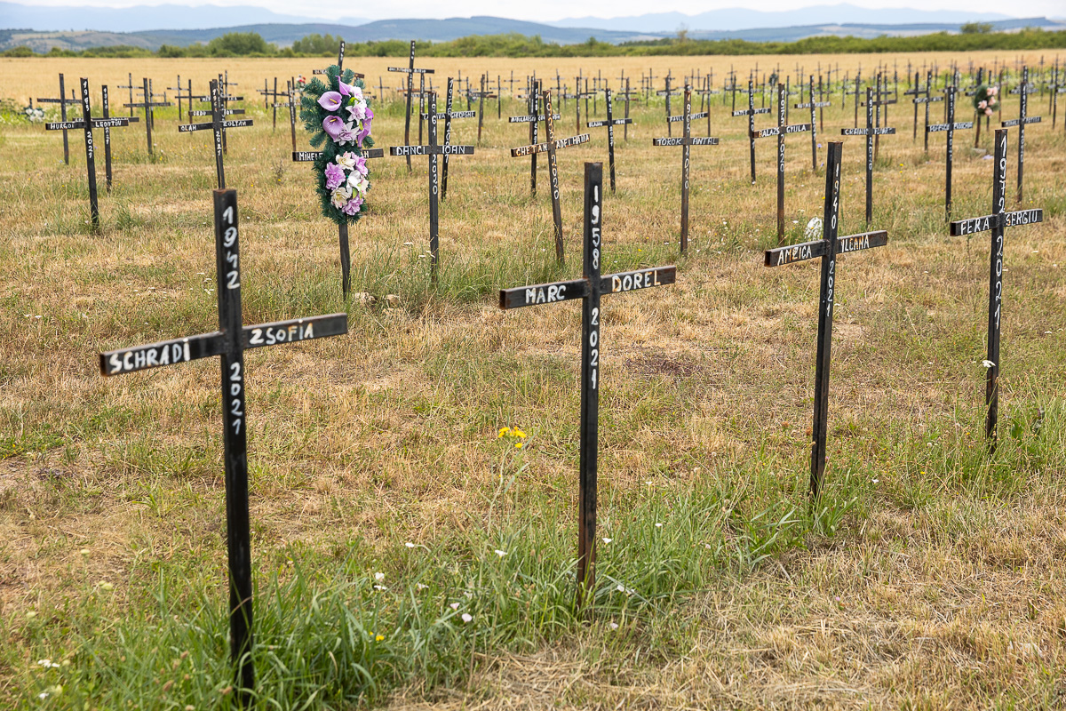 Cimitirul cu necunoscuți din Dumbrava. Viorel Pașca: „Toată lumea, indiferent de religie, are cruce la fel. Ca să nu se supere niciunul”