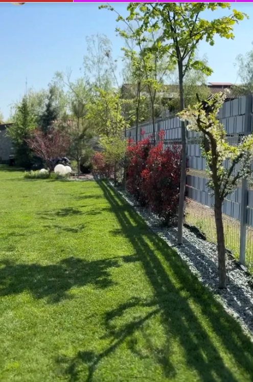 Cum arată grădina casei Andreei Bănică. Artista le-a arătat fanilor imagini din curtea frumos amenajată