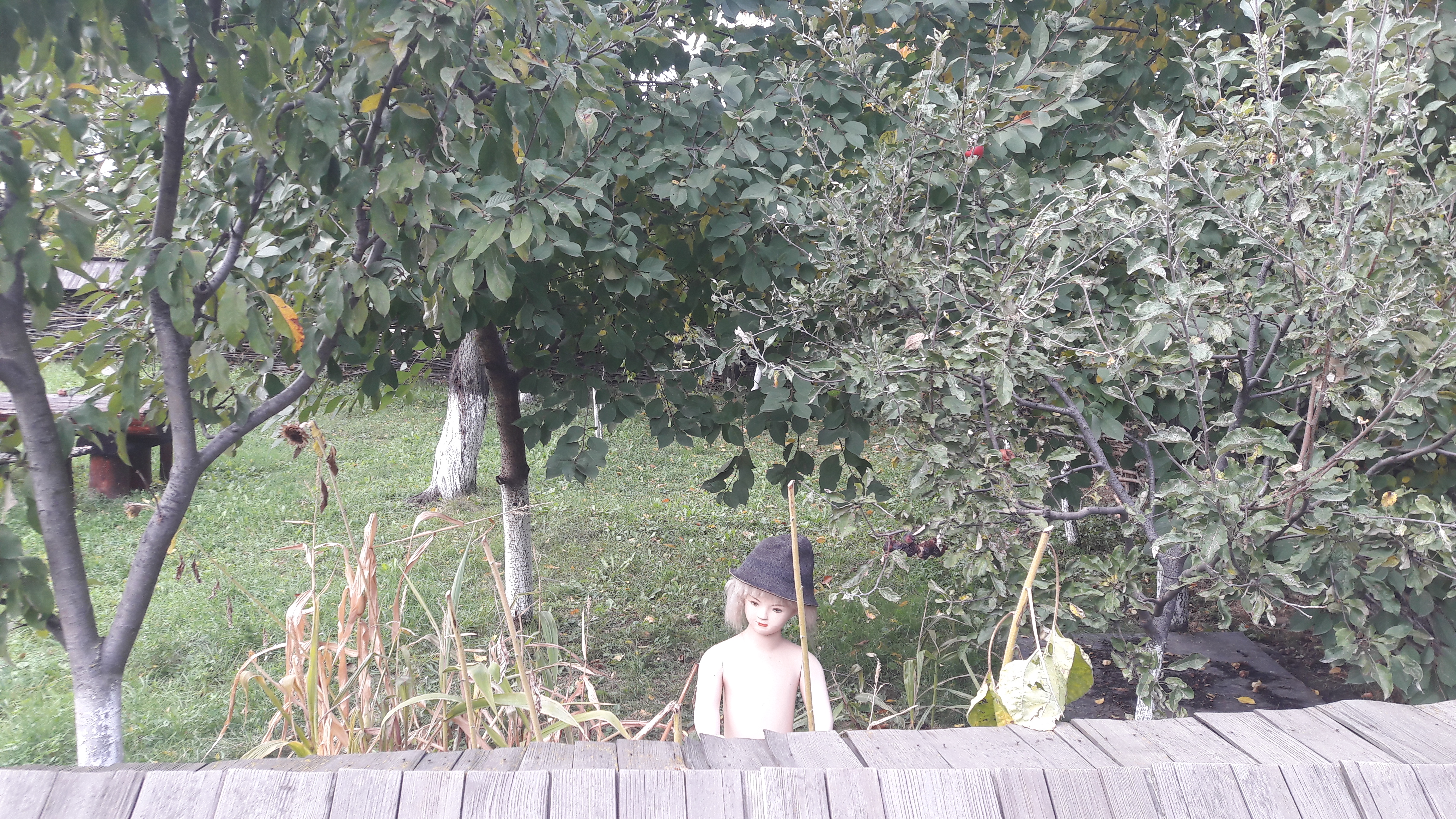 REPORTAJ | Pe urmele amintirilor lui Ion Creangă. Ozana cea frumos curgătoare aproape a secat, iar casa din Humulești e vizitată mai ales de moldovenii de peste Prut