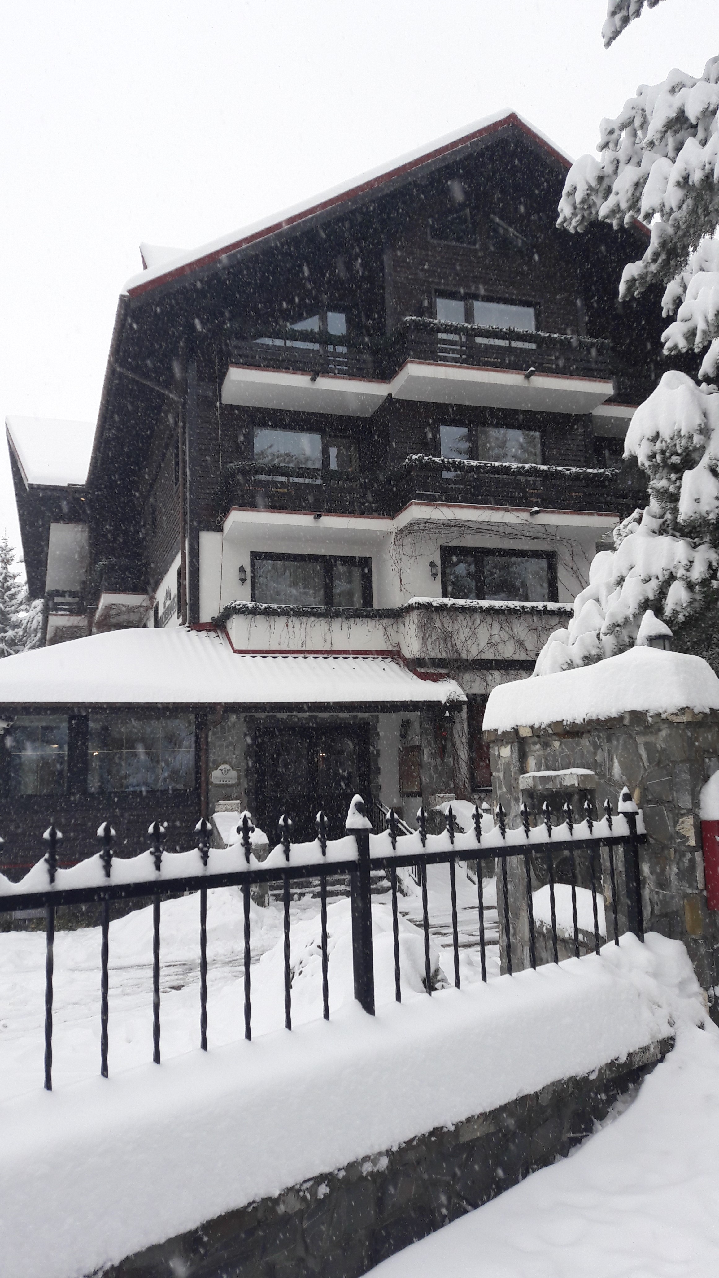 EXCLUSIV/Povestea brașoveanului Edömér Tóth, omul de afaceri de la care Simona Halep a cumpărat hotelul