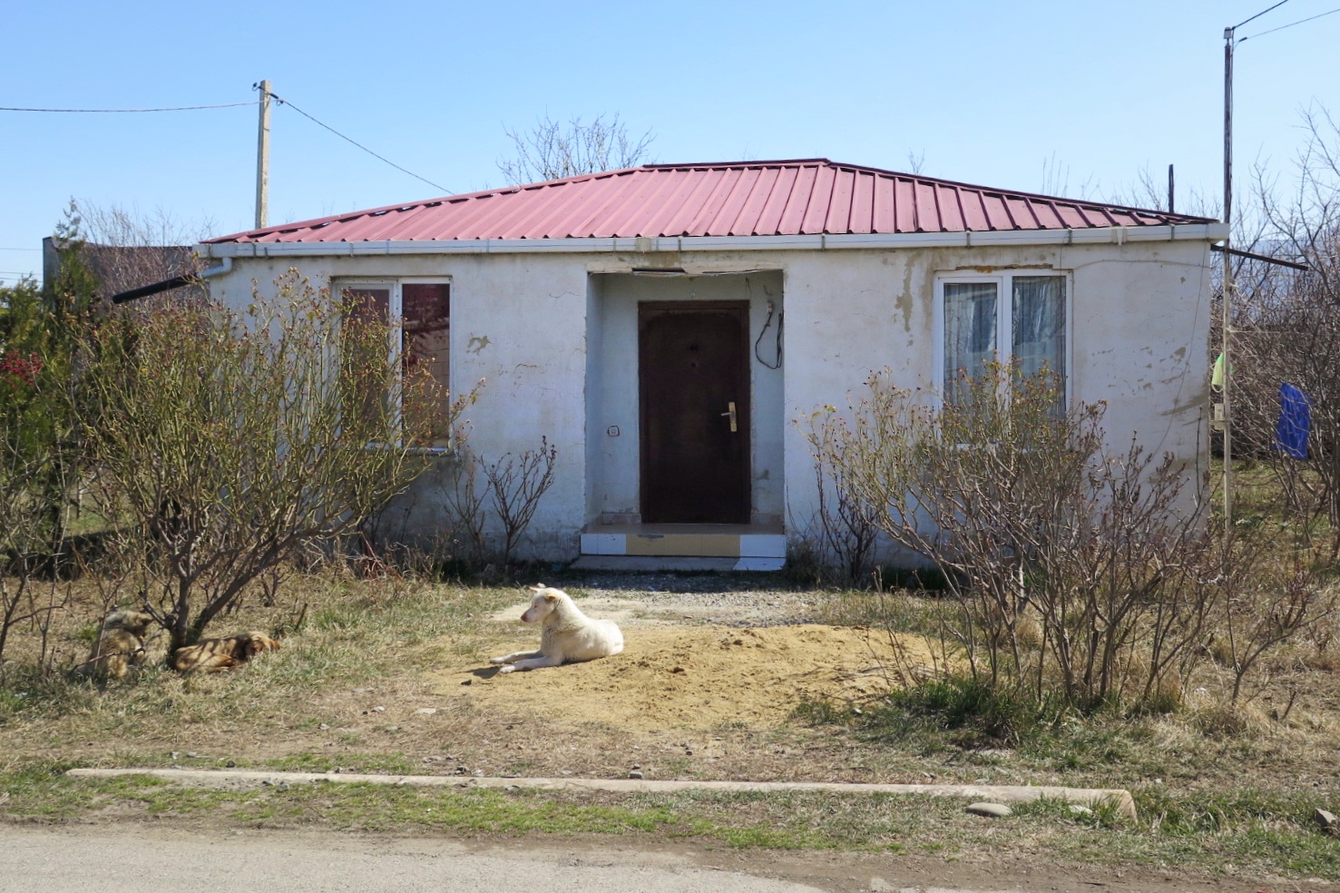 Jurnaliștii Libertatea relatează, față în față, din două tabere de refugiați: ce s-ar întâmpla dacă Rusia nu s-ar retrage din Ucraina, așa cum nu s-a retras de 14 ani din Georgia