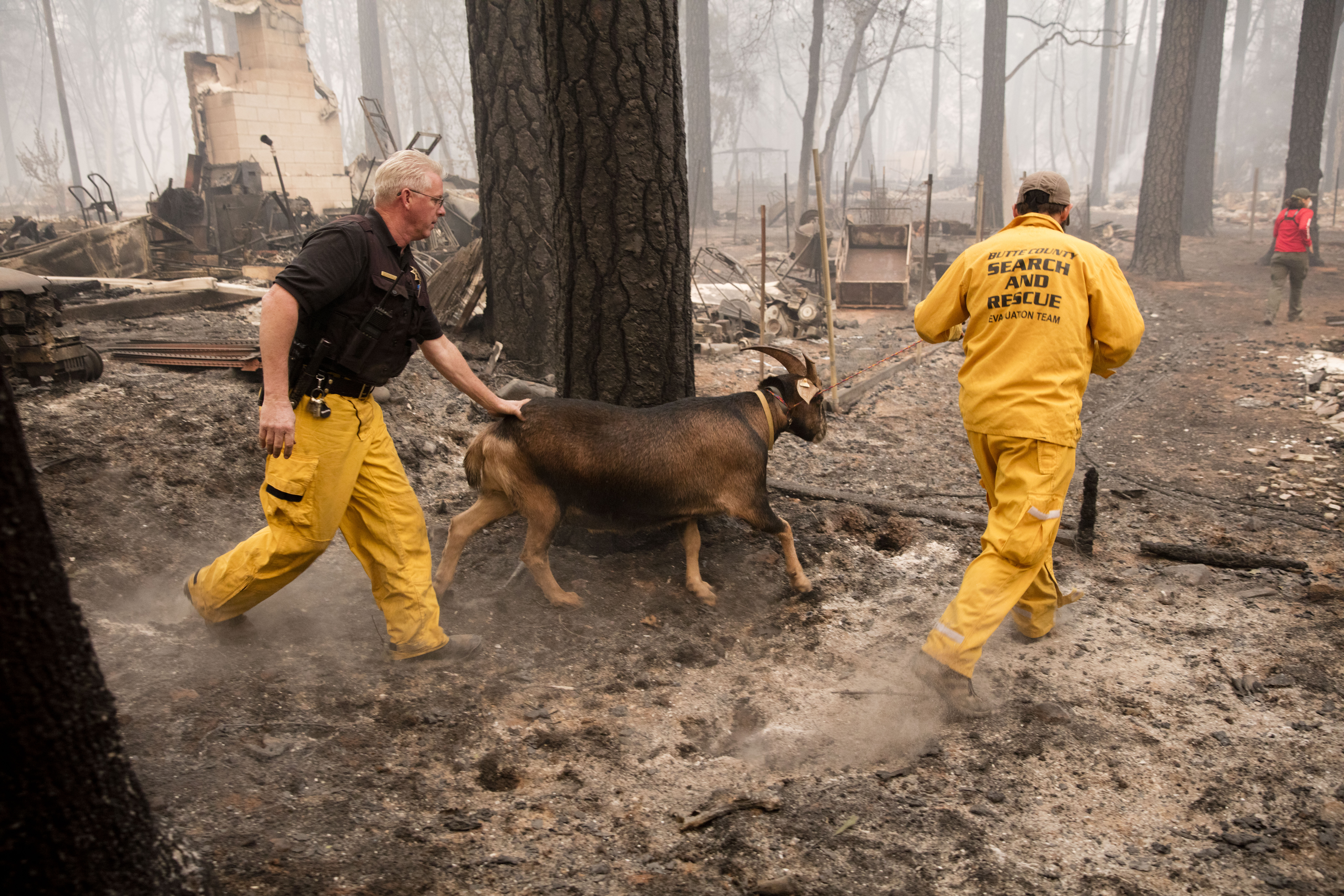 Cele mai devastatoare incendii din istoria Californiei. Peste 30 de morți și sute de persoane date dispărute