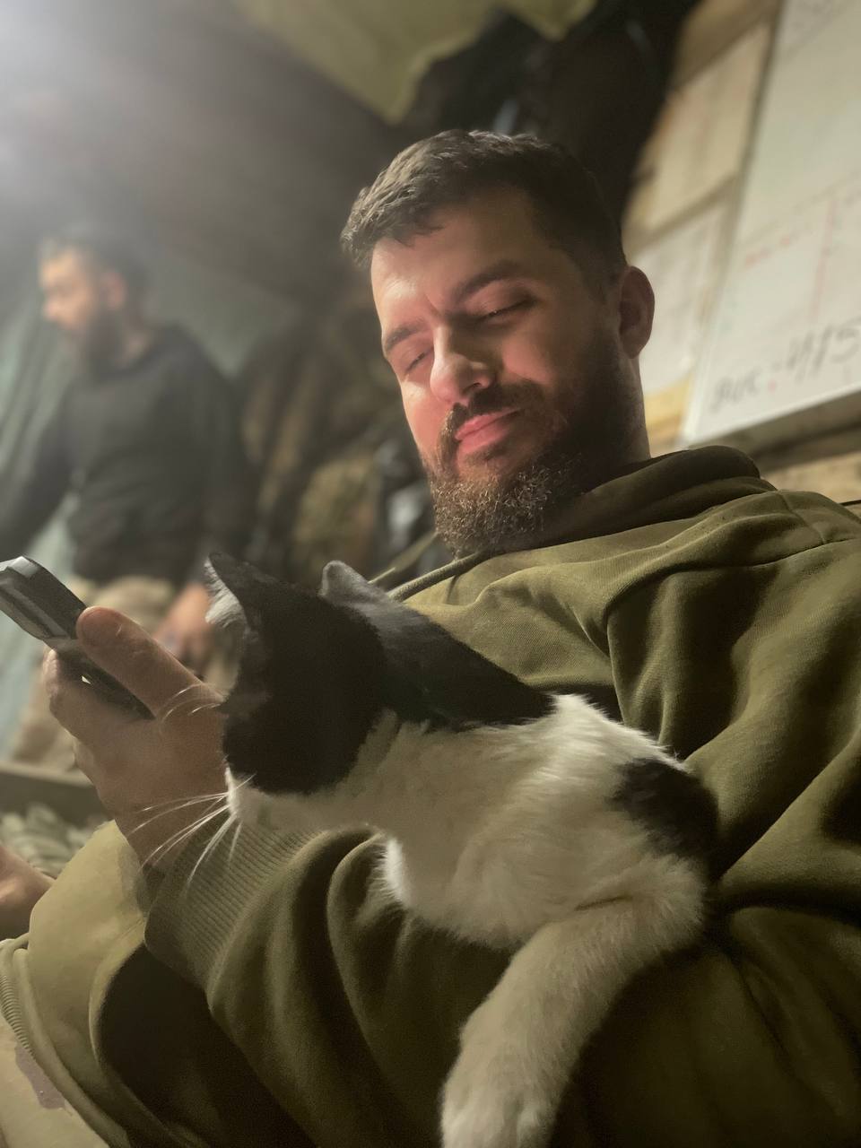 Soldații ucraineni aduc pisici pe front, ca să-i scape de șoareci: „Ne-au salvat viața de mai multe ori”