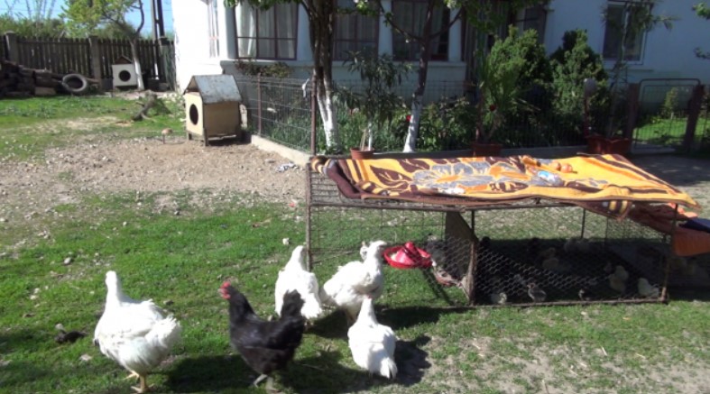 Cum arată casa modestă din Teleorman în care a copilărit Gina Pistol. Imagini din camera în care a crescut