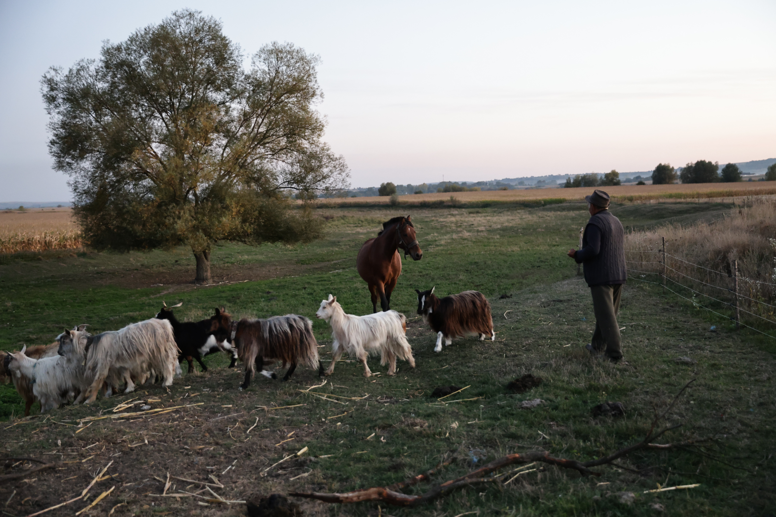 Bătrânul de la marginea lumii. Mesaj pentru politicieni: „Ce mănânci tu, aşa şi ceilalţi. Noi am fost 14 copii, ce-o mâncat tata, ne-o dat şi nouă, nu că el a mâncat carnea, şi noi borşul”