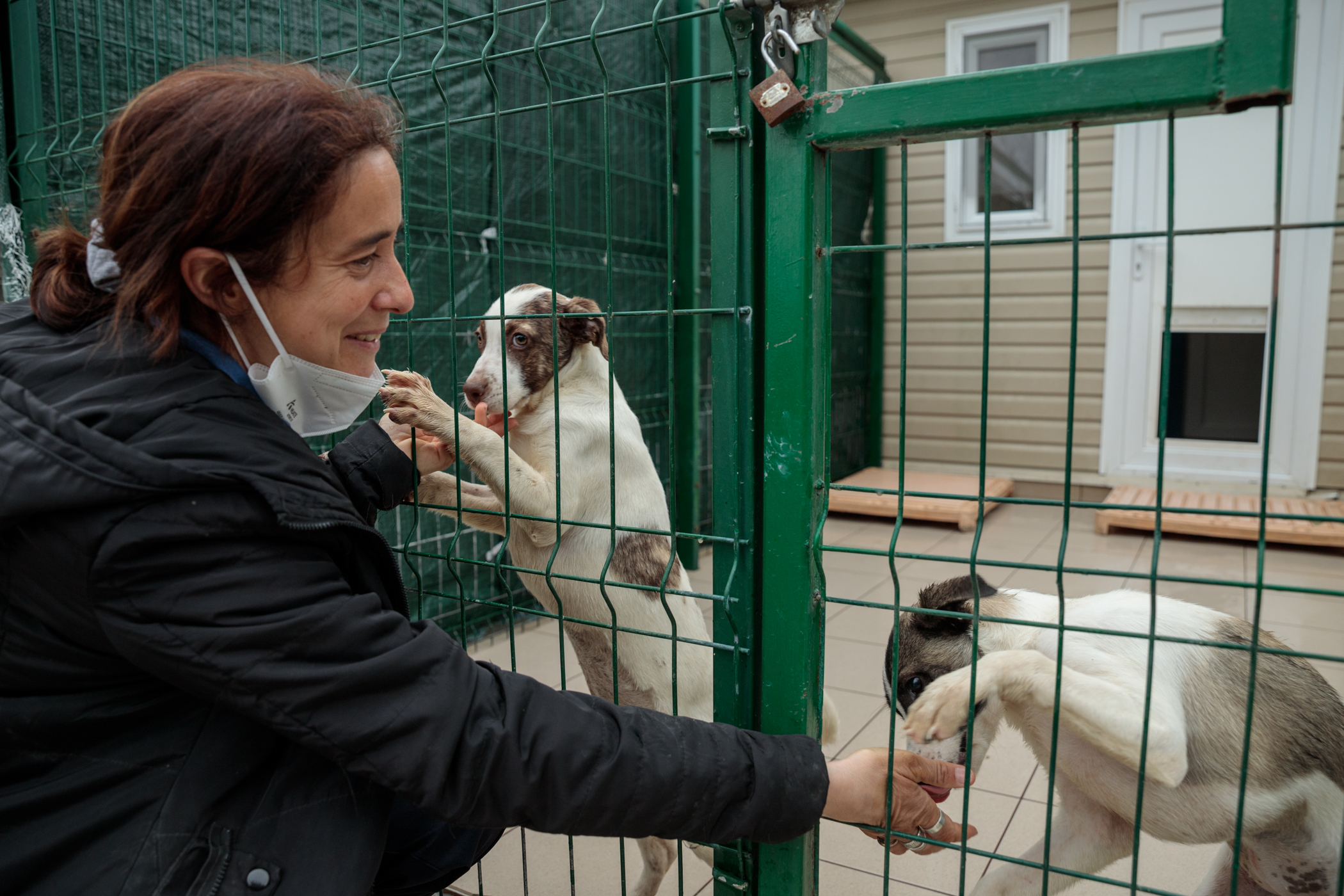 Poliţia Animalelor a împlinit un an. Peste o mie de animale salvate, zeci de dosare penale și 15 persoane arestate