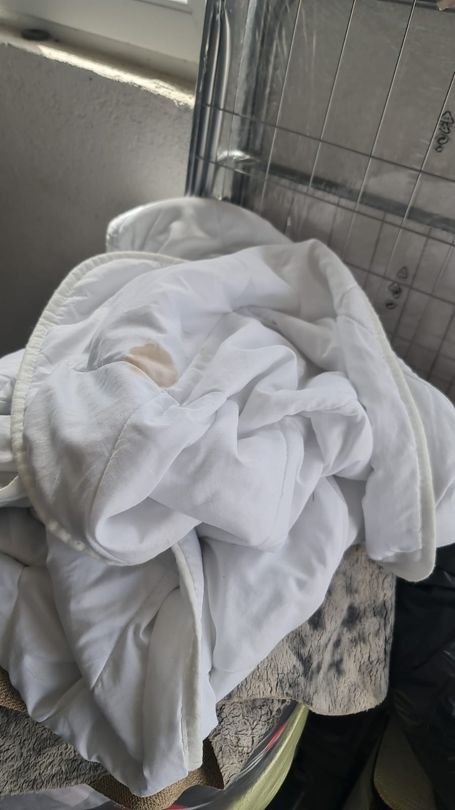 Mihai Trăistariu și-a găsit apartamentele din Mamaia Nord distruse de turiști: „Nu luăm pe mere ce dăm pe pere”