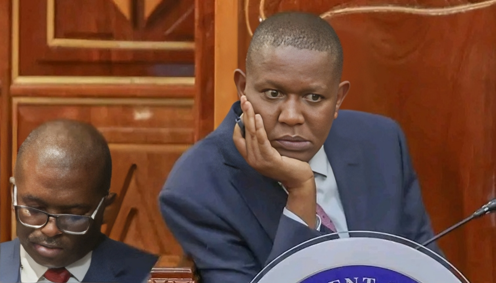 Ex-CJ Willy Mutunga questions Mwengi Mutuse's qualifications after Gachagua impeachment