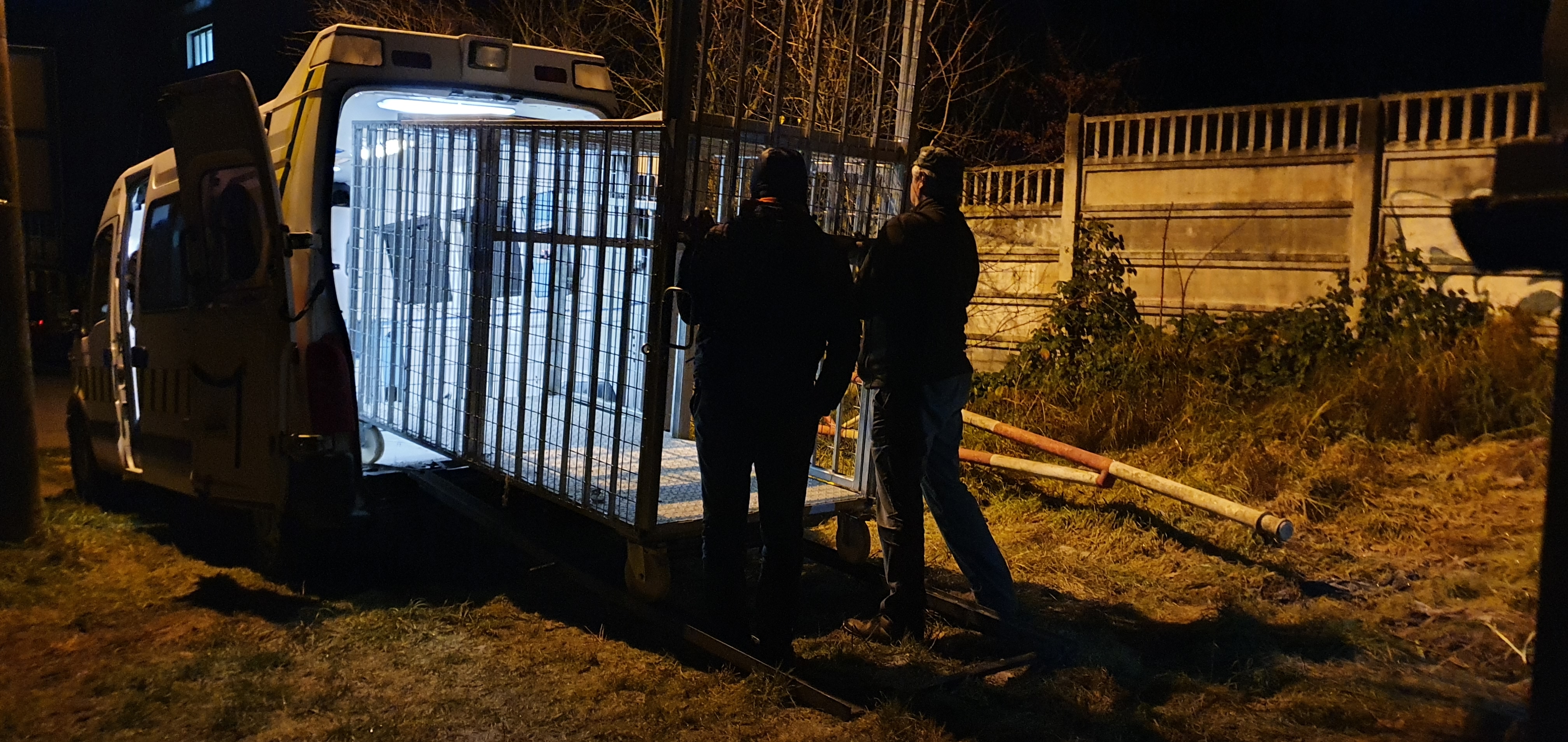 O ursoaică şi doi pui, capturați în Brașov, și-au găsit adăpost la Sanctuarul Libearty de la Zărneşti
