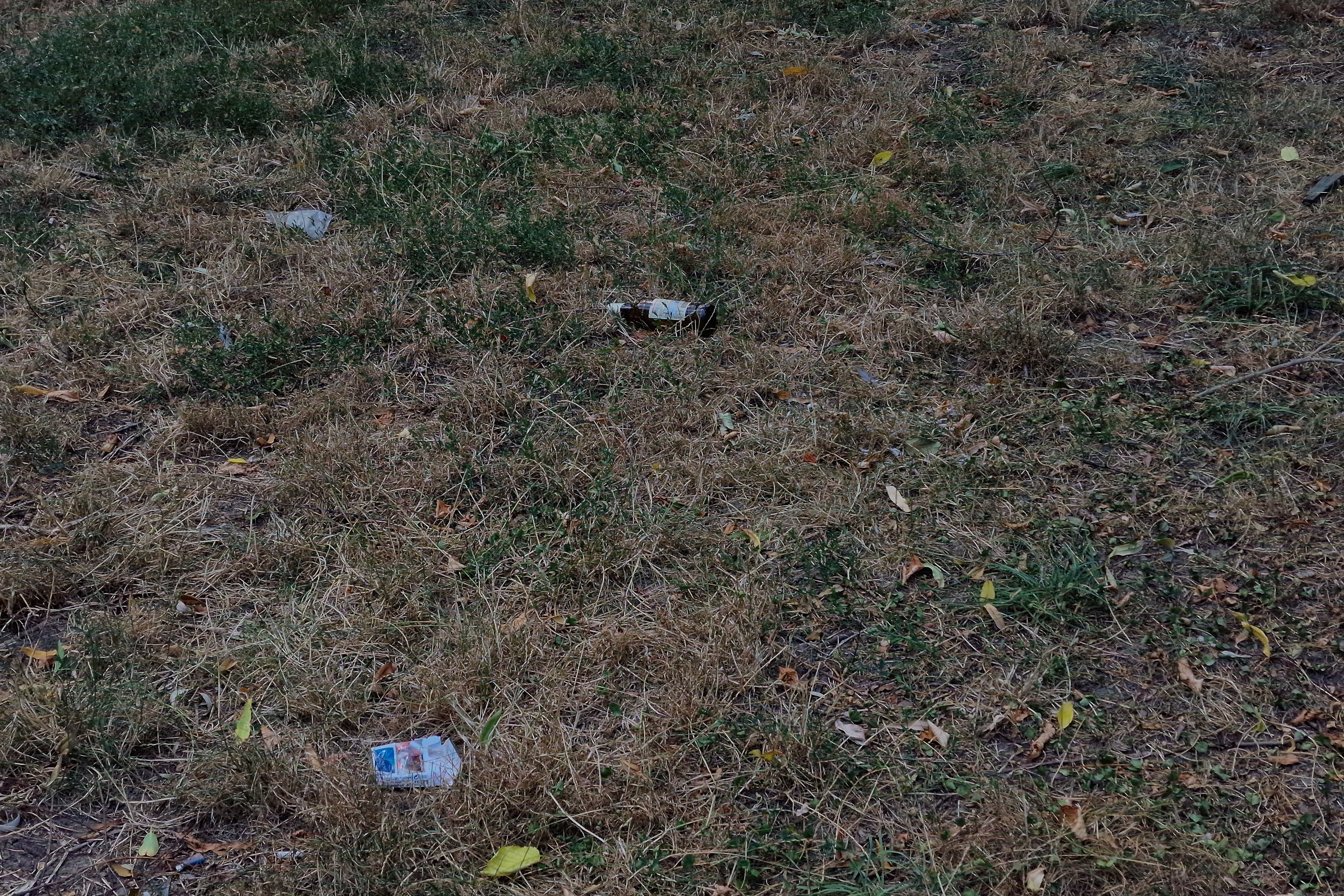 FOTO. În Parcul Circului din București, toată iarba e pârjolită. Rezistă, în schimb, gunoaiele