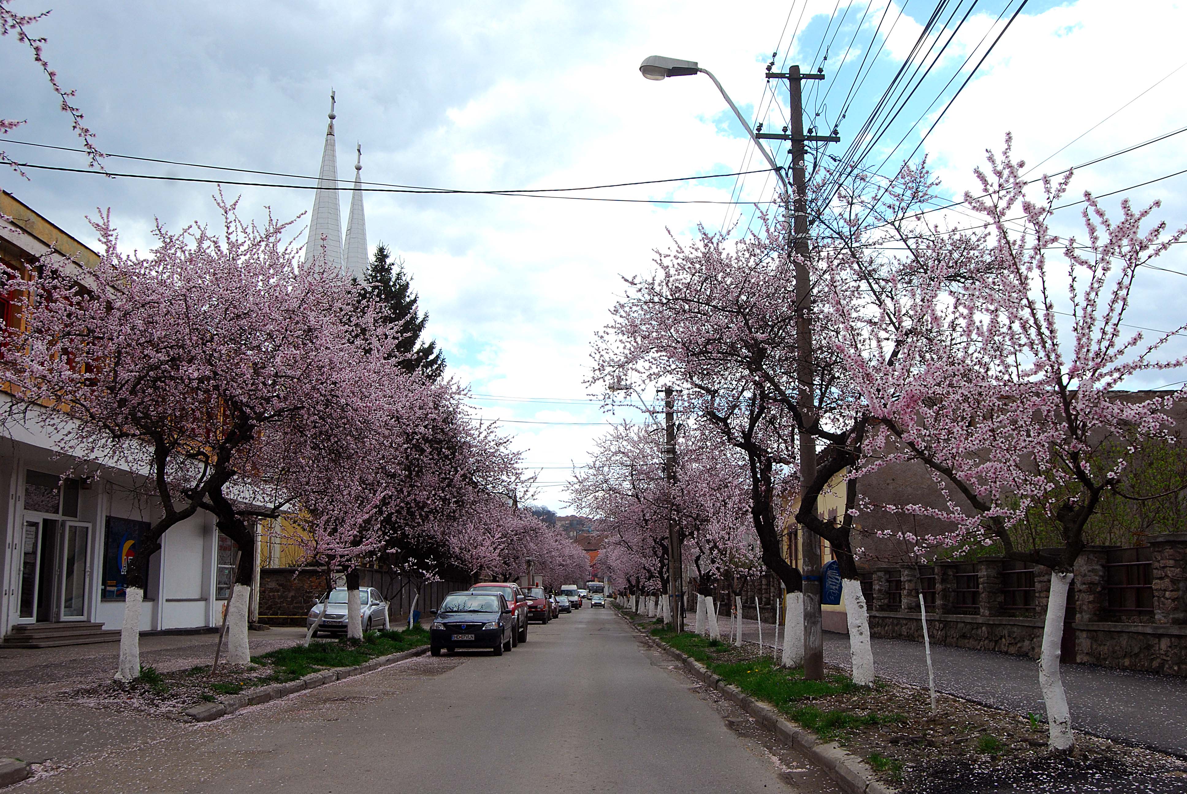 Este aceasta una dintre cele mai frumoase străzi din România? Imagini desprinse parcă din povești! GALERIE FOTO