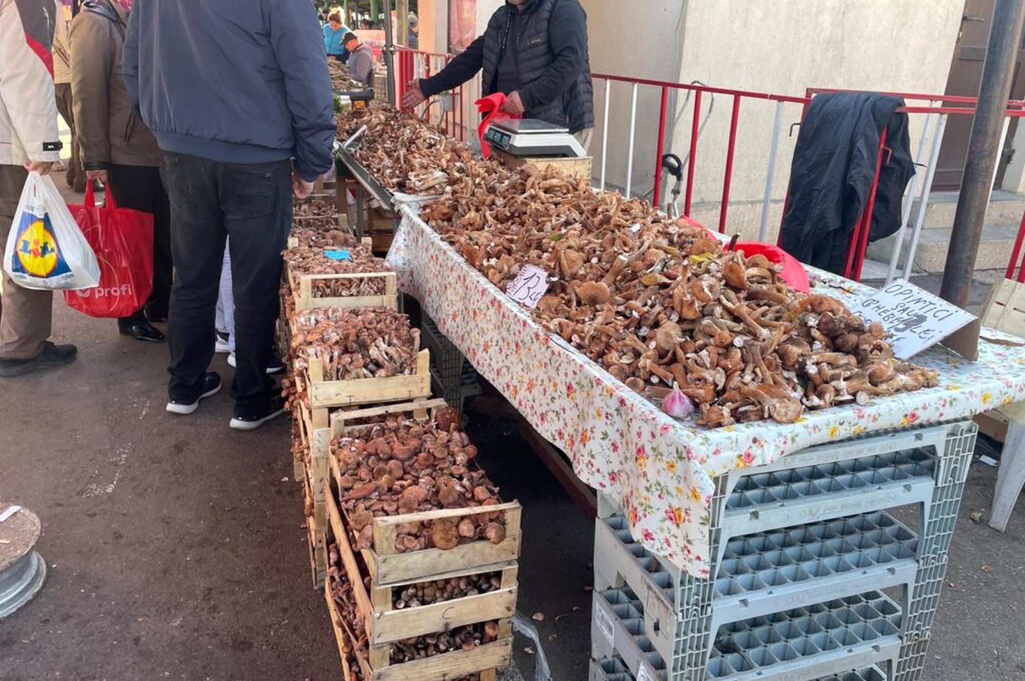 Creștere a intoxicațiilor cu ciuperci din piețe la Iași. Comercianții vând fără autorizație