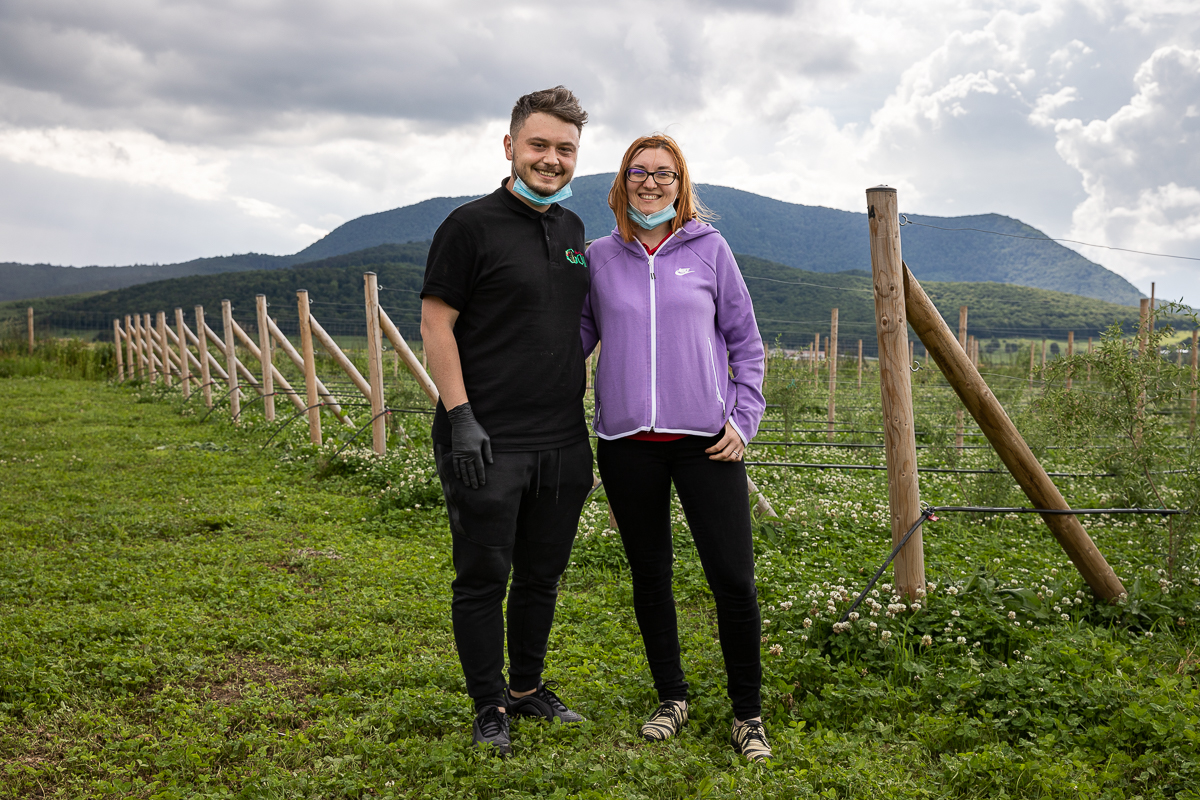 Ce i-a determinat pe doi tineri să renunțe la avocatură și să se apuce de cultivat goji: “Vin italienii, nemţii şi fac proiecte frumoase în agricultură. Românii de ce nu fac?”
