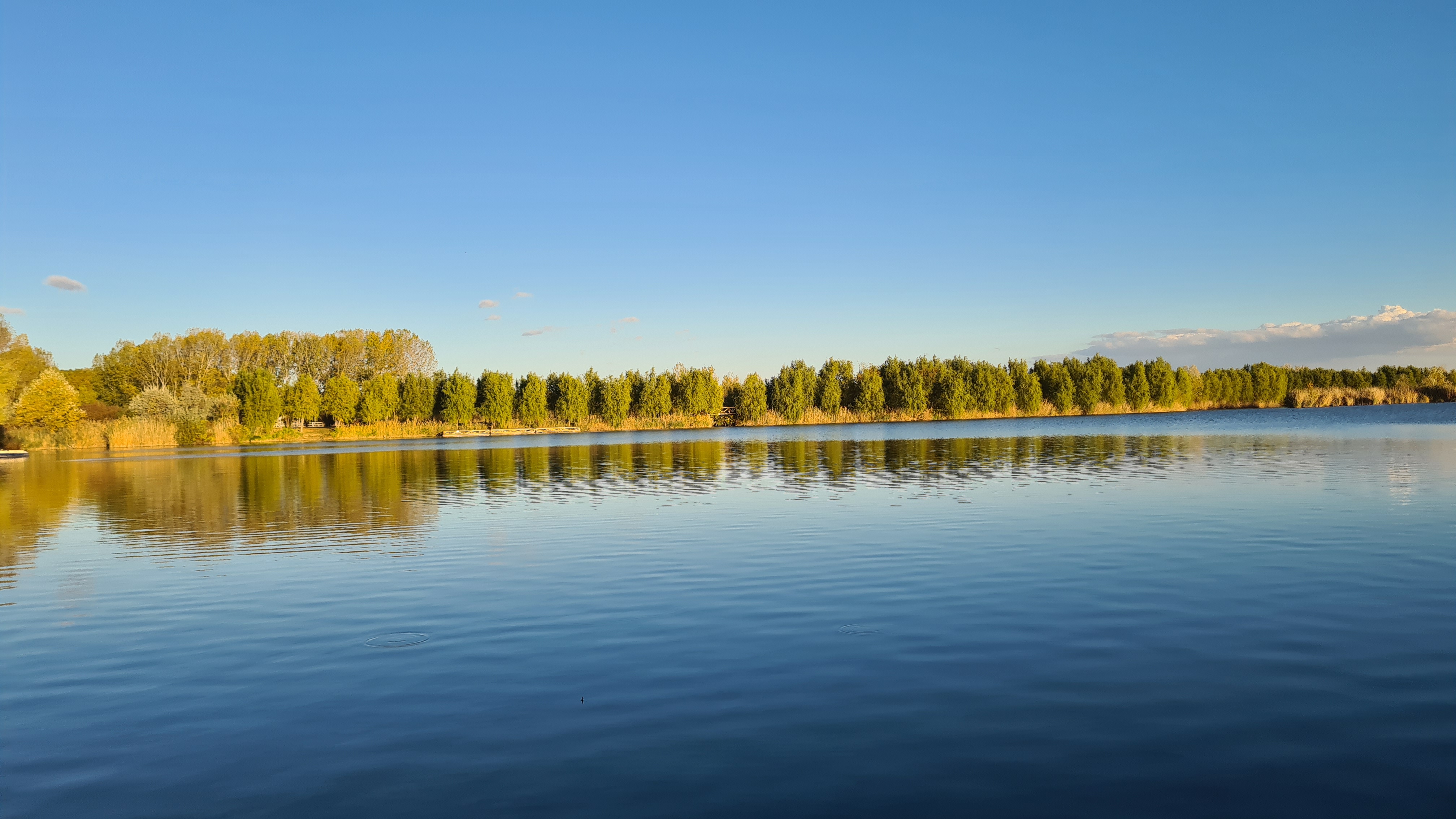 „Delta Dunării” de pe Siret. Satul de vacanță de 82 de hectare, cu zoo, pescuit sportiv și kilometri de canale unde te poți plimba cu barca