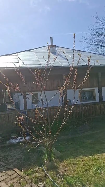 Noi imagini cu Puya la țară. Cum arată curtea și casa renovată: „Costă foarte puțin”