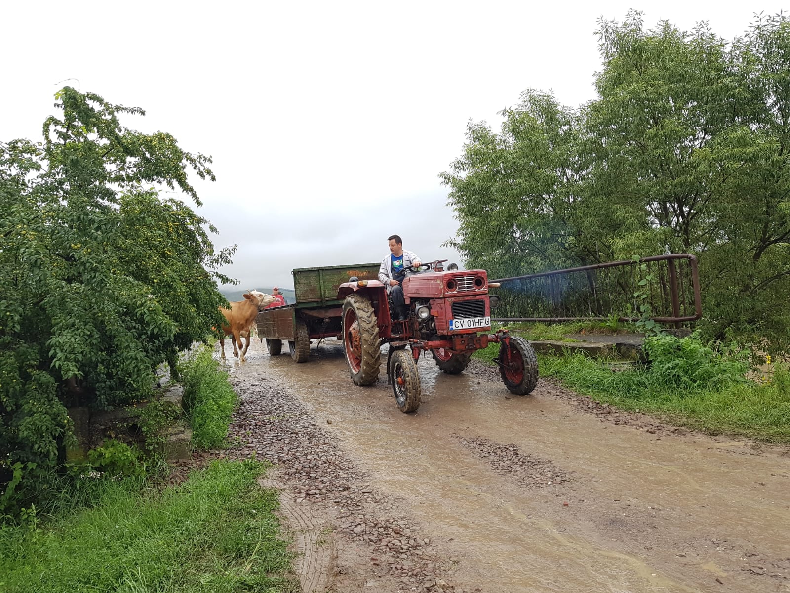 Breşă în digul râului Tărlung din județul Covasna. Peste 100 de oameni, evacuați de pompieri / FOTO&VIDEO