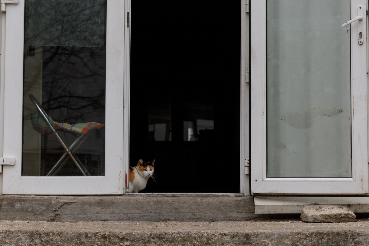 REPORTAJ. O cronică a cutremurului care nu a avut loc, dar a scos mai mulți oameni în stradă în Constanța. De ce au ieșit totuși?