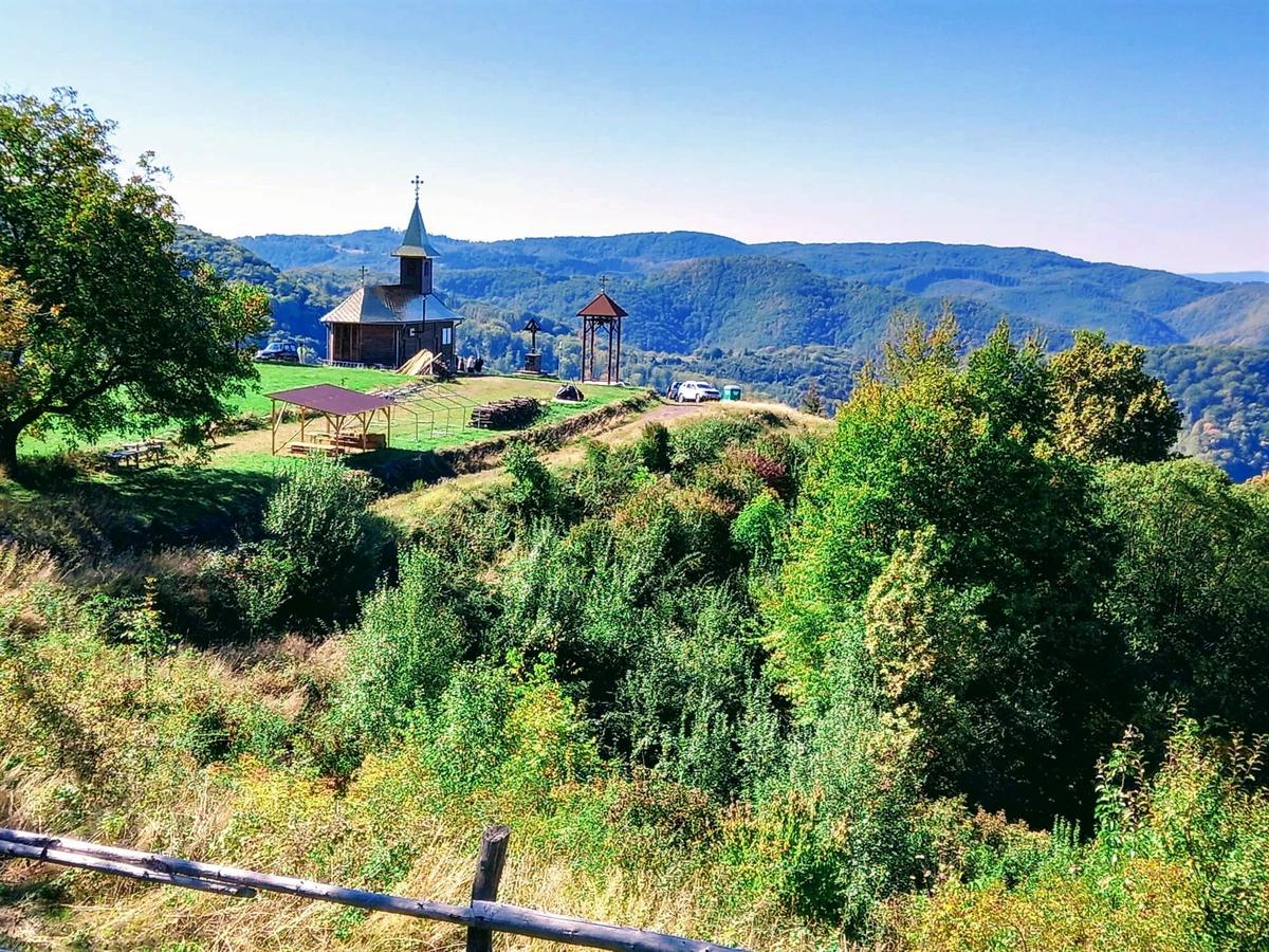 Casa părintească a Părintelui Arsenie Boca, de vânzare. Costă 3 milioane de euro și se vinde alături de 8 hectare de teren | FOTO