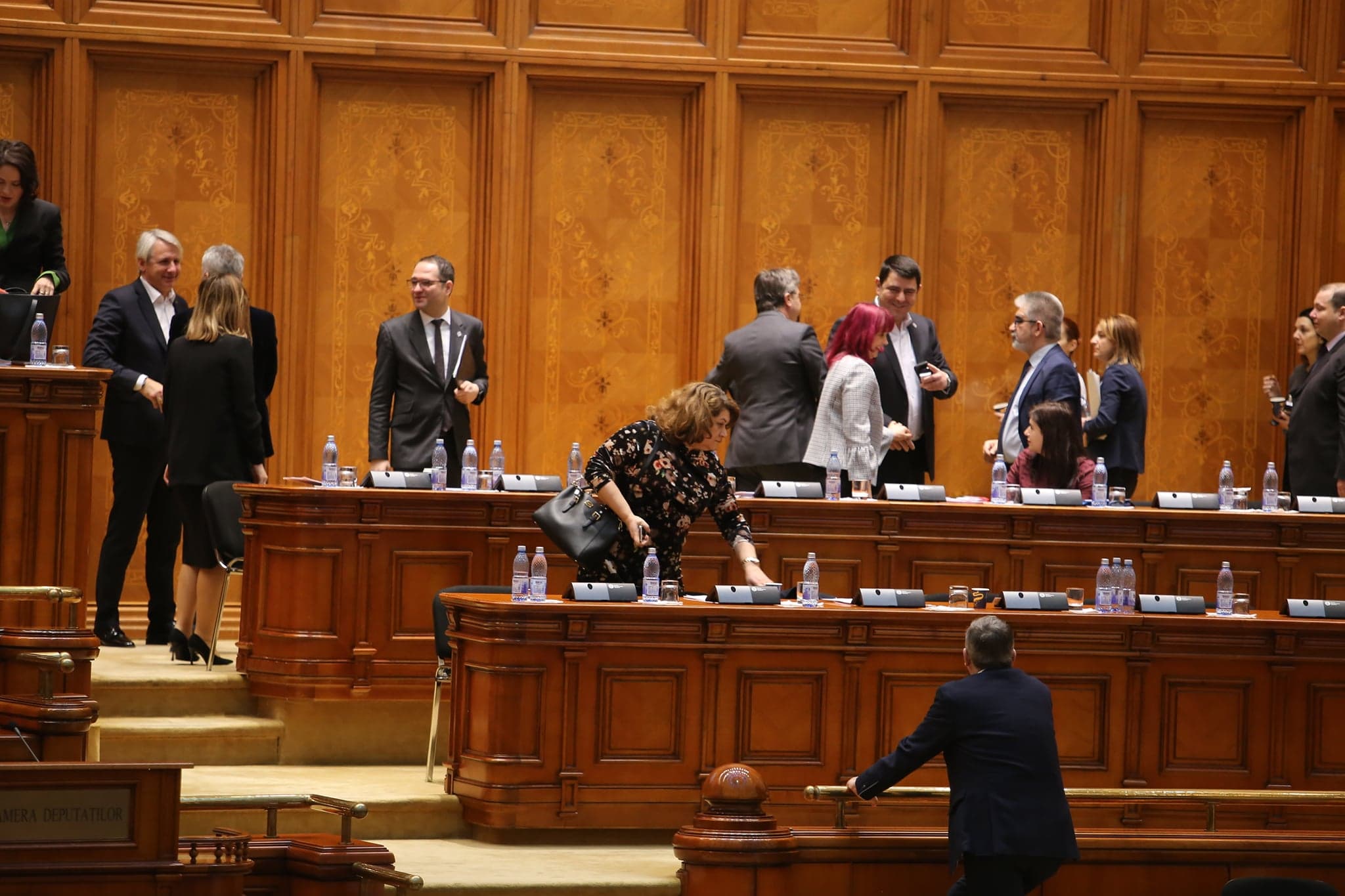 UPDATE. Bugetul de stat pe 2019 a fost votat de Parlament şi merge la preşedintele Klaus Iohannis, pentru promulgare | FOTO / VIDEO