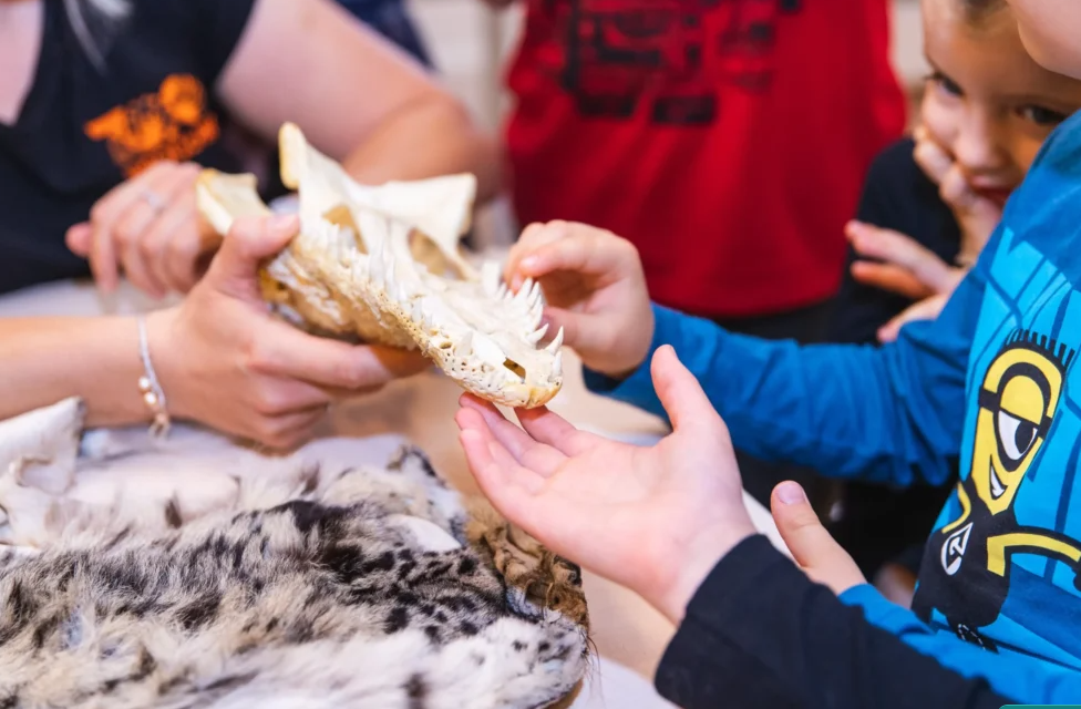 Tak można uczyć w zoo!