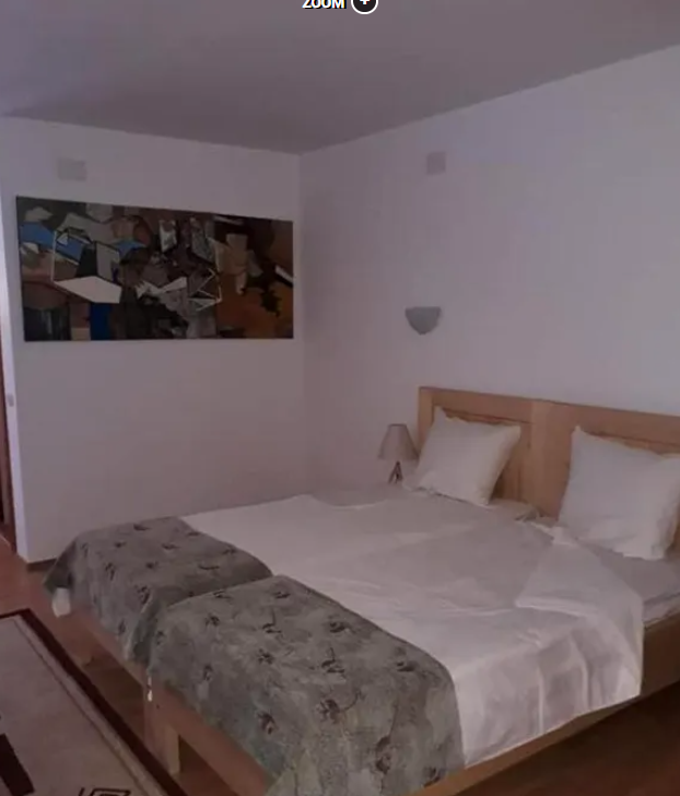 Cât costă o noapte de cazare la pensiunea Monicăi Anghel, în perioada sărbătorilor de iarnă. Imagini cu conacul de la Berevoiești