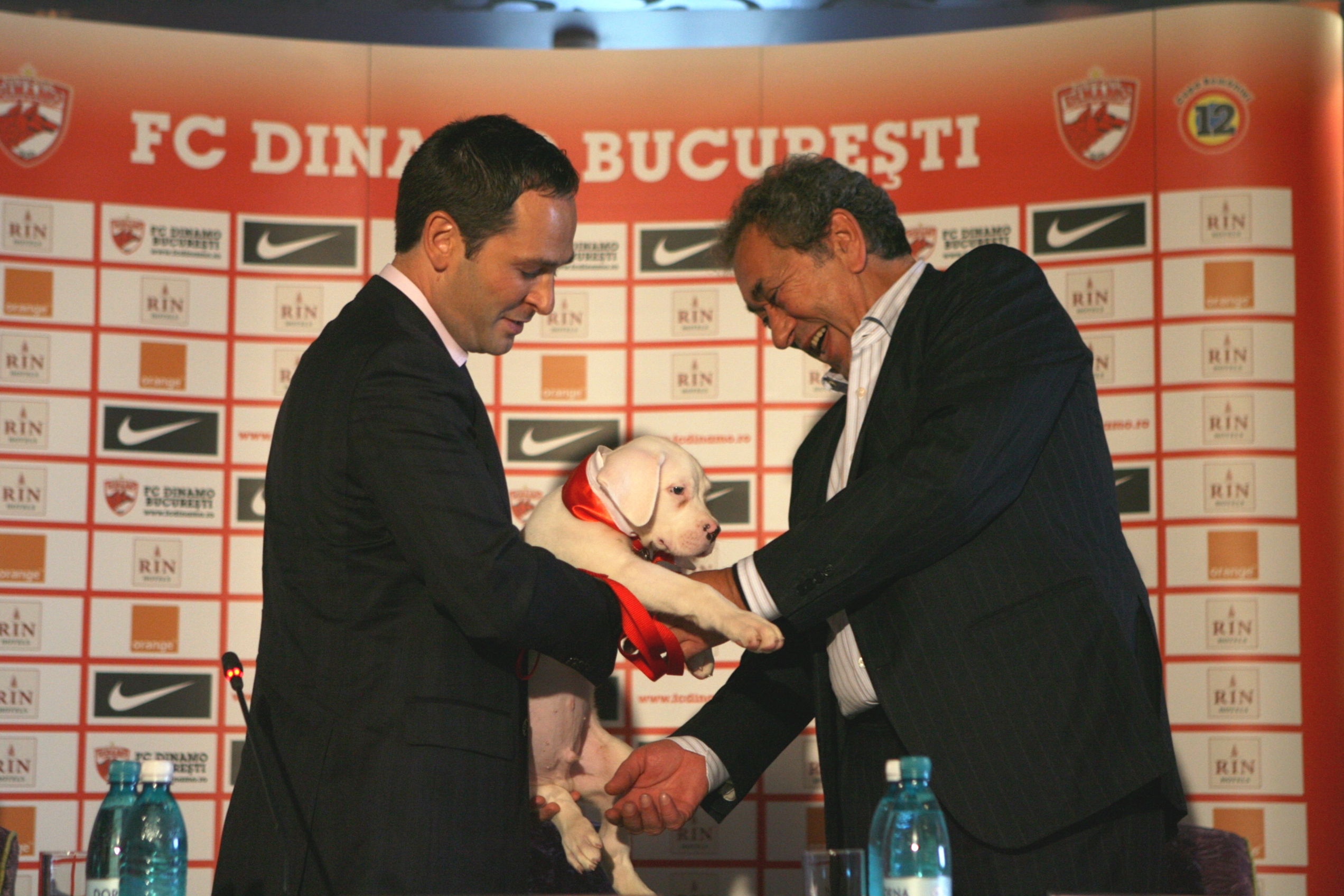 Internele, Elisabeta Lipă și Nicolae Badea vor să-i sufle echipa Dinamo lui Ionuț Negoiță după modelul ”Steaua-CSA”/ EXCLUSIV