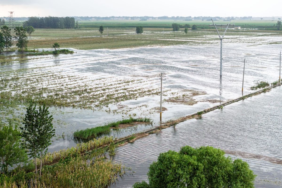 Îngrijorări privind securitatea alimentară a Chinei din cauza inundațiilor din principala regiune producătoare de cereale a țării