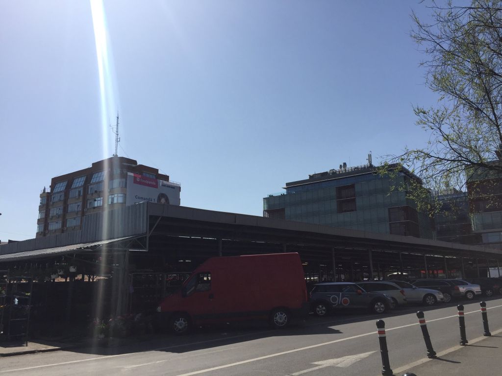 REPORTAJ: Lumea a treia în centrul Timișoarei, în fața unui super-centru de business. De la proiectul exemplu în arhitectură la nepăsare