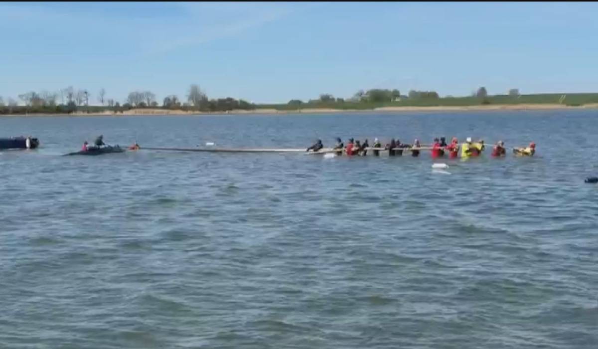 Timmy, balena blocată de două luni în apele Germaniei, a fost eliberată în Marea Nordului