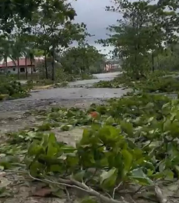 Platourile din jungla dominicană unde se filmează „Sunt celebru, scoate-mă de aici” au fost inundate. Experiența concurenților s-a transformat într-un calvar