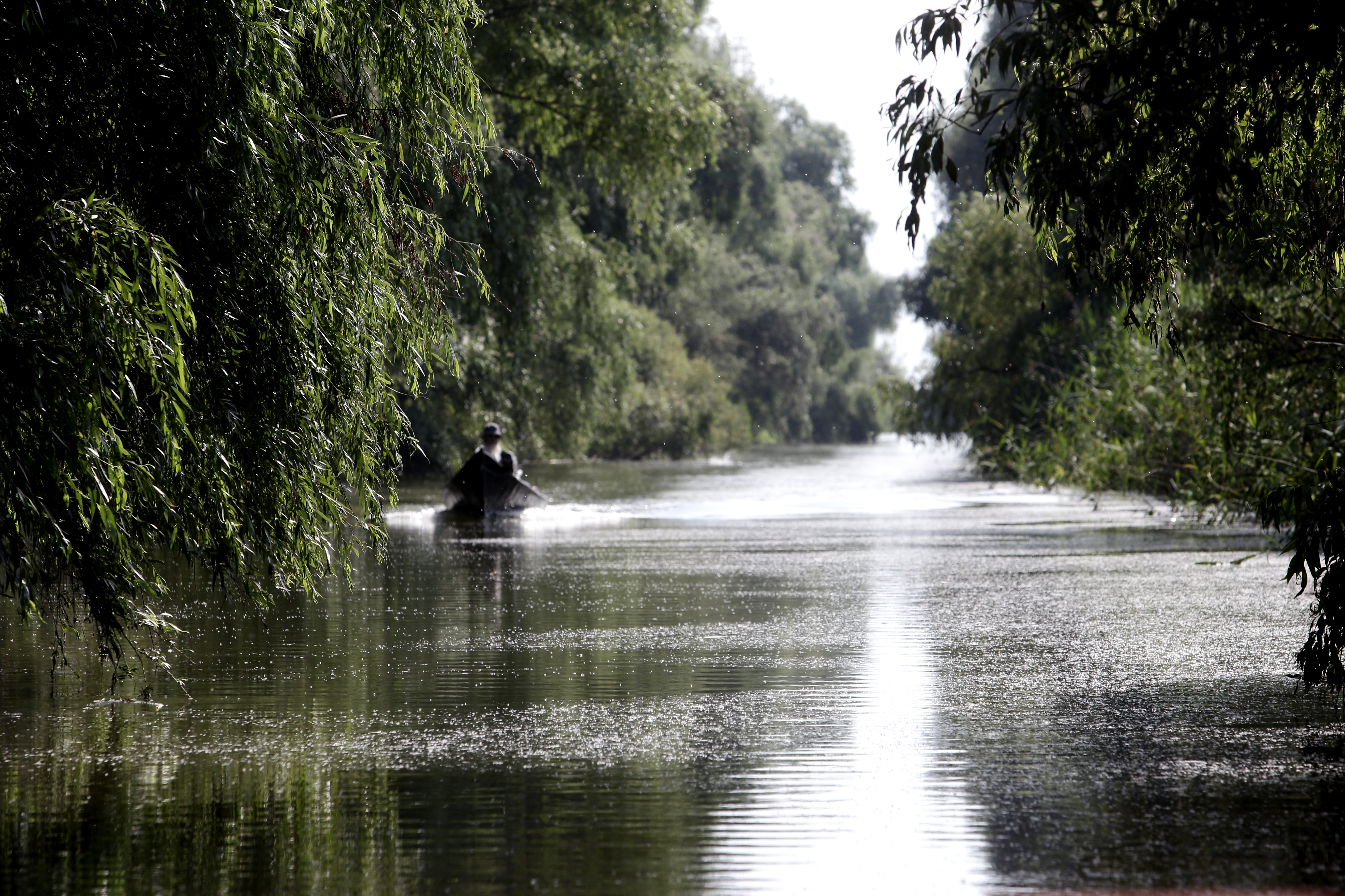 FOTOREPORTAJ/ Prin Delta Dunării, în căutarea sălbăticiei