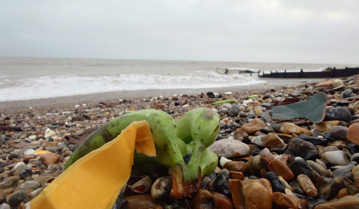 O plajă din Marea Britanie a fost acoperită de banane, dar autoritățile trag un semnal de alarmă pentru locuitori