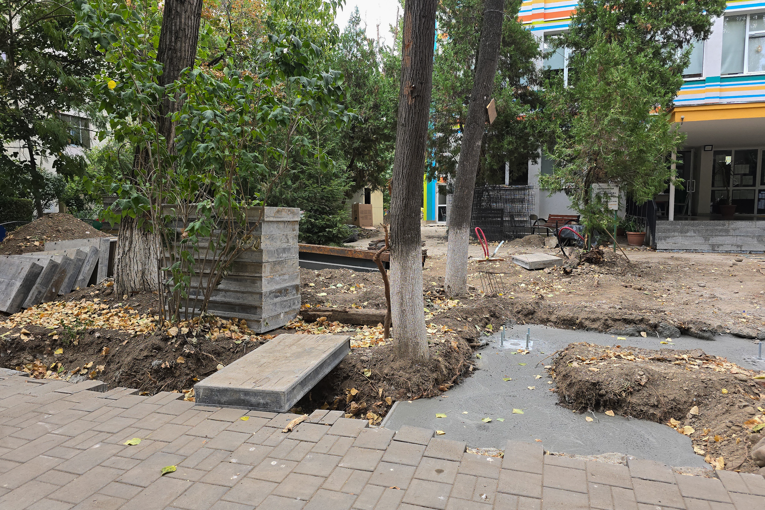 Au băgat excavatorul ca să facă șanțuri pentru gardul unei școli din București și au rupt rădăcinile a zeci de copaci