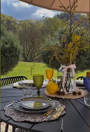 Imagini cu vila de la țară a Olguței Berbec. Conacul artistei de muzică populară impresionează prin aspectul elegant