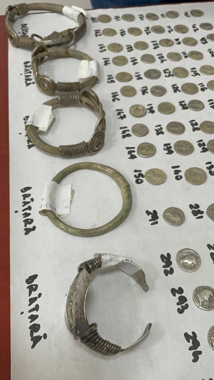 Comoară veche de 2.000 de ani, descoperită întâmplător, în Botoșani: aproape 600 de monede de argint și șase brățări dacice, printre artefactele găsite