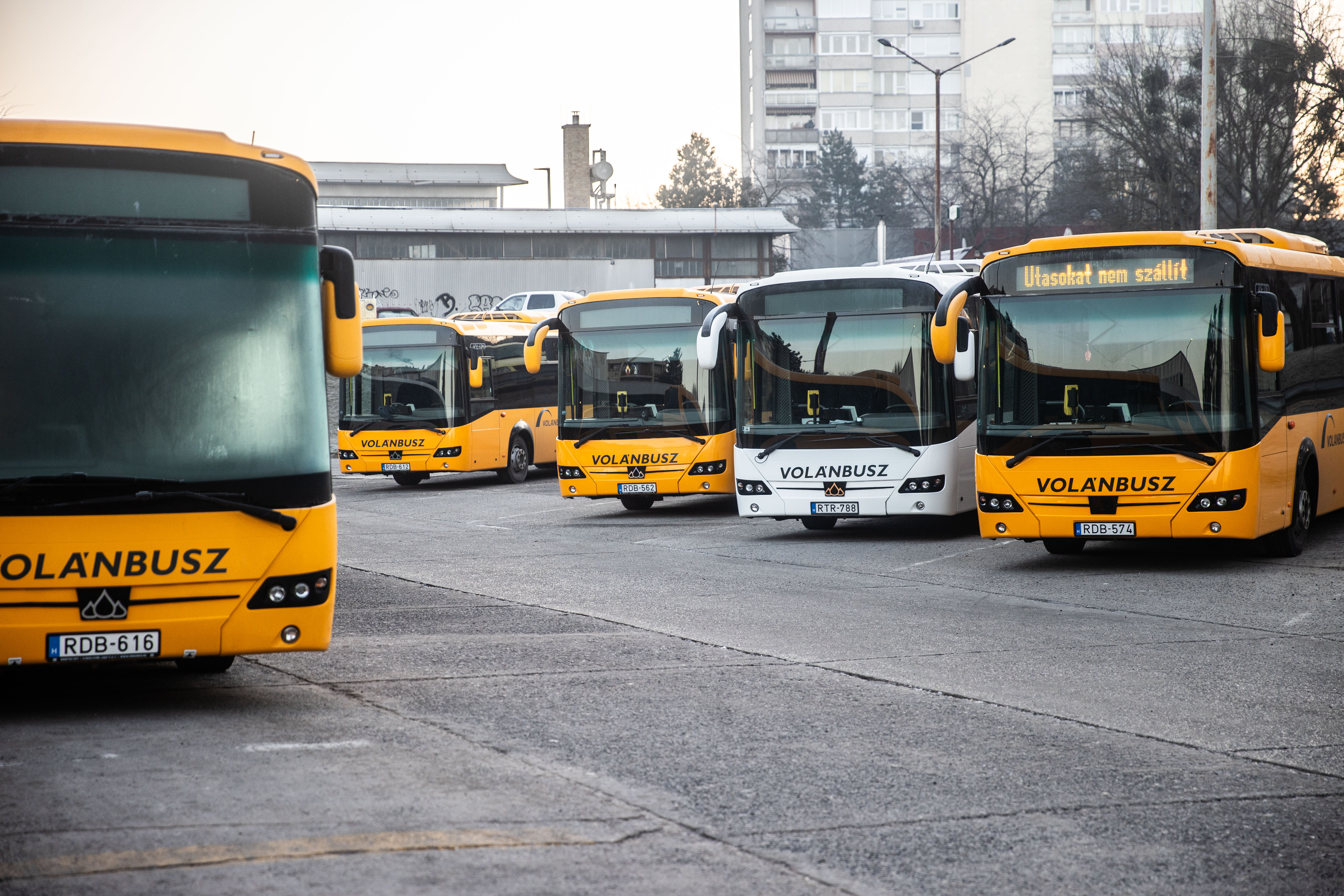 Hamarosan kész a Volánbusz ezzel a jelentős fejlesztéssel: erre már nagyon sokan várhattak