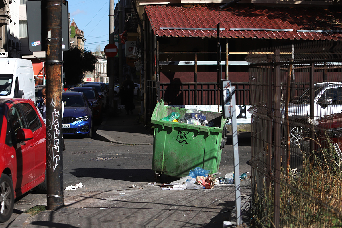 ORAȘELE FĂRĂ SPAȚII VERZI. Fiecare bucureștean respiră oxigenul din mai puțin de un copac, dar aproape fiecare are o mașină. De unde poate veni salvarea 
