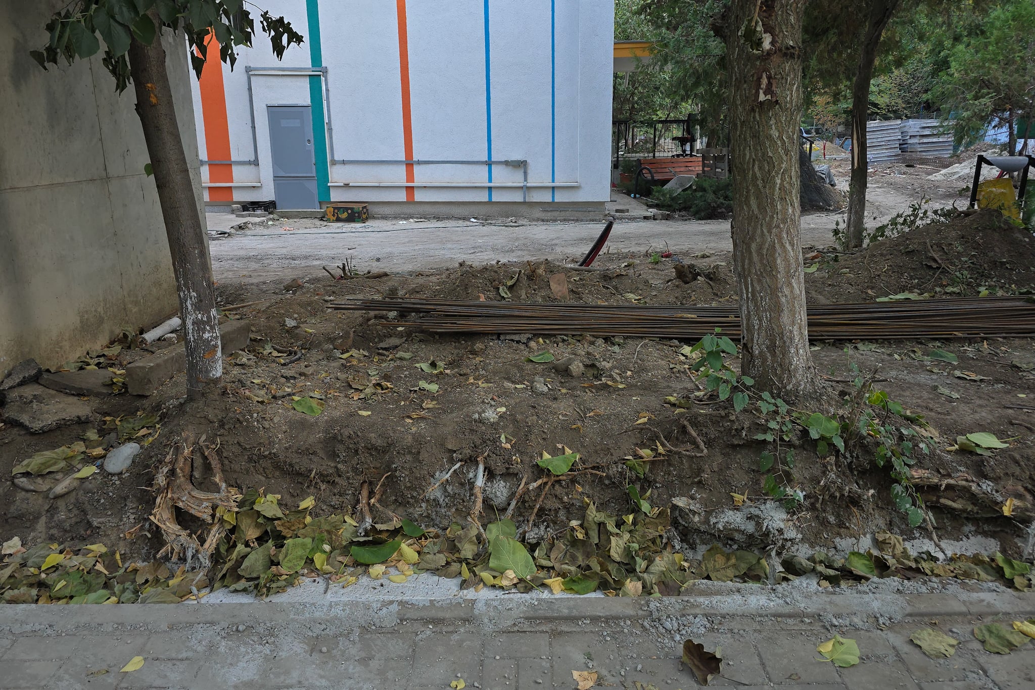 Au băgat excavatorul ca să facă șanțuri pentru gardul unei școli din București și au rupt rădăcinile a zeci de copaci