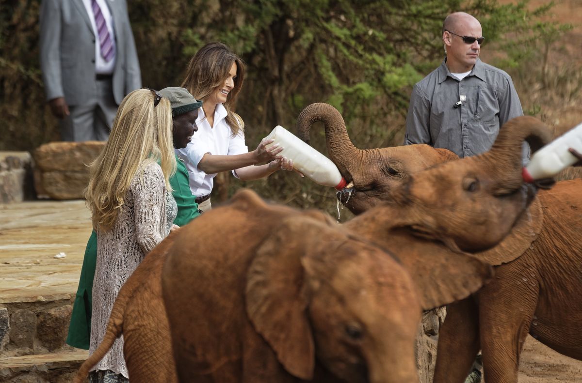 FOTO| Melania Trump a hrănit elefanți și a mers într-un safari în timpul vizitei în Kenya