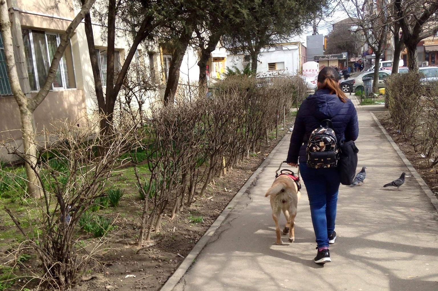 REPORTAJ/ Câinii-ghid sunt salvarea nevăzătorilor. Daria și Daisy sunt o echipă cu o singură pereche de ochi /FOTO