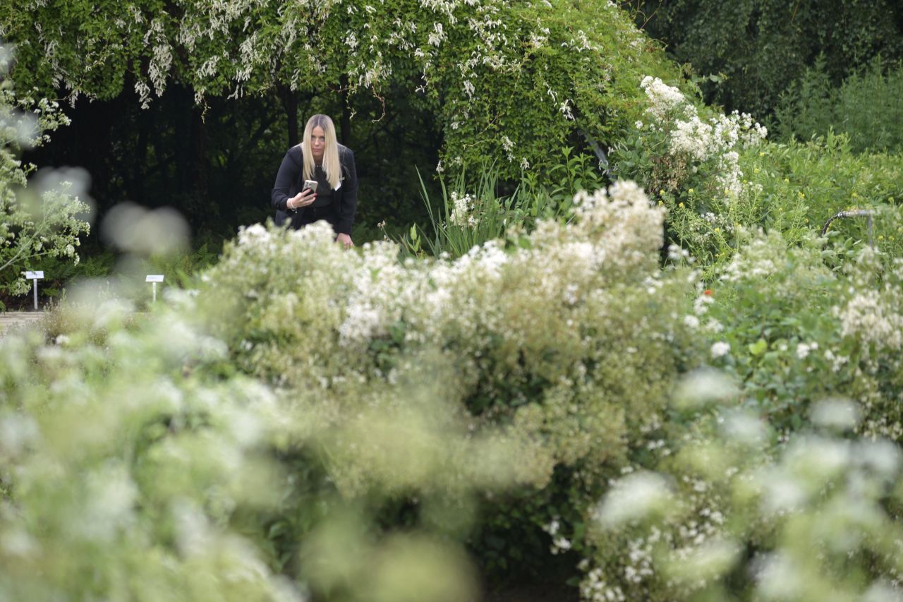 Cum se fabrică celebrele produse Weleda! Am vizitat grădina de plante medicinale din Germania, un paradis de 23 de hectare